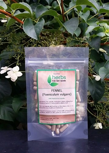Organic fennel seed 100x - seed,