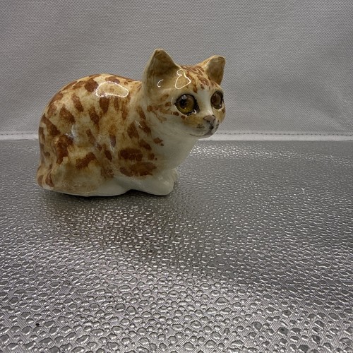 Winstanley ginger cat - winstanley,