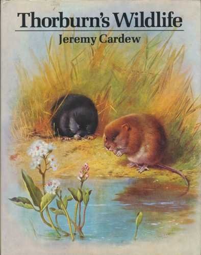 Thorburn wildlife cardew - thorburn's,