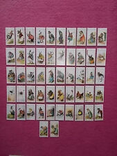 REPRO CIGARETTE CARDS BY