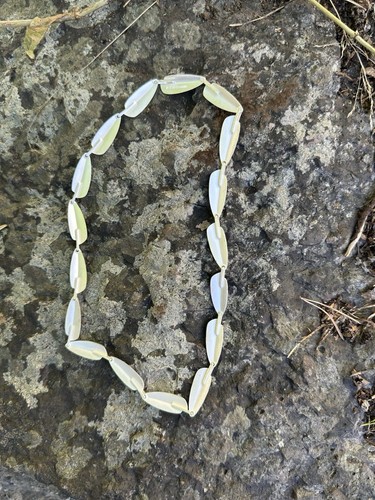 Lapponia sterling silver mid - sterling,