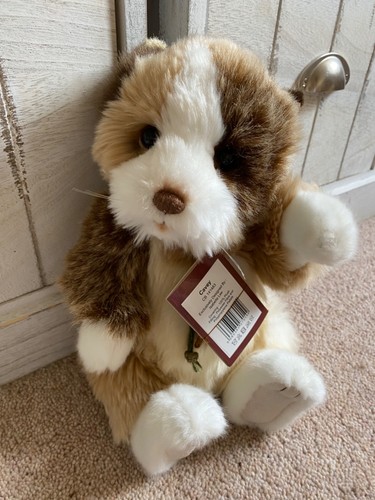 Charlie bears cavey - -,