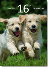 Doodlecards 16th Birthday Card