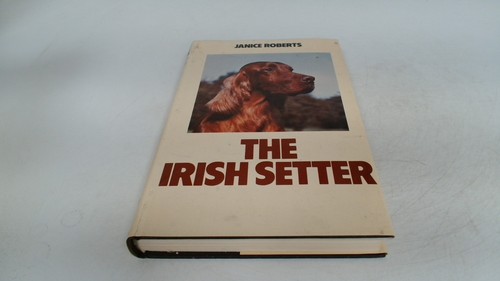 The irish setter janice - setter,,