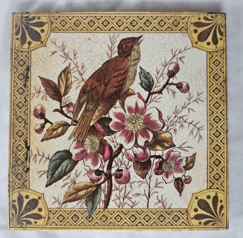 Gorgeous bird design - gorgeous, 6