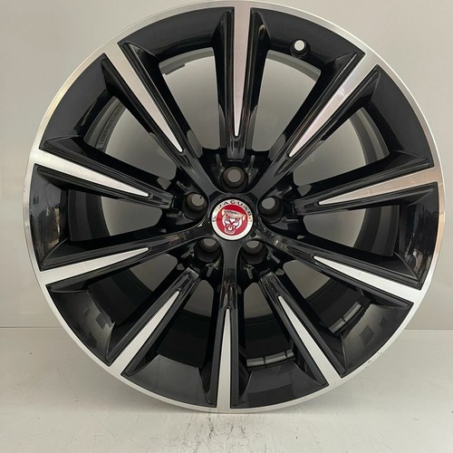 Jaguar type orbit - f,
