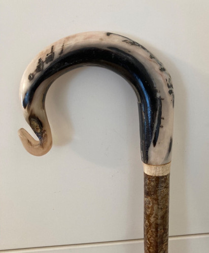 Tall herdwick rams horn - herdwick,