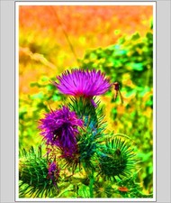 Down By The Riverbank A4 Print