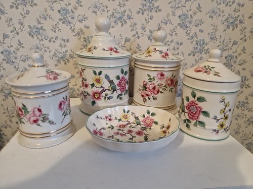 Old foley chinese rose - chinese,