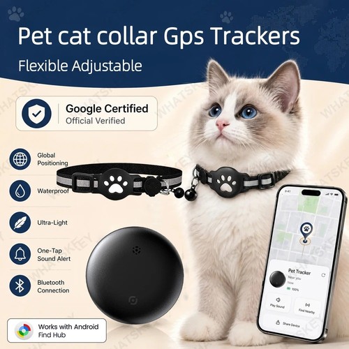 Cat tracker finder - cat, gps