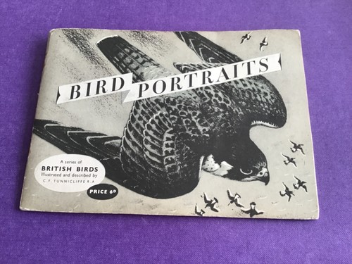 Bird portraits full album - bird,