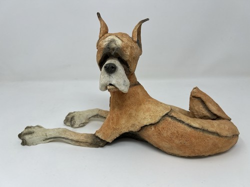 Breed apart boxer dog - a,
