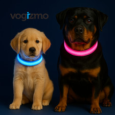 LED Dog Collar for Night