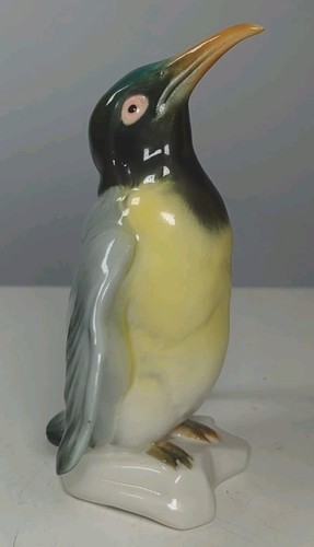 Karl ens penguin bird - karl,