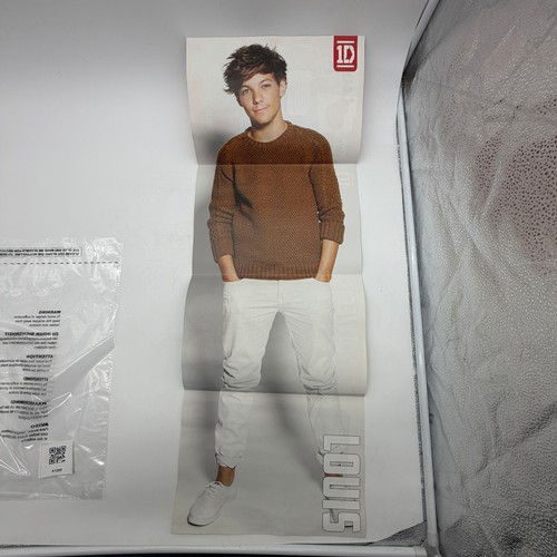 Louis tomlinson one direction - louis,