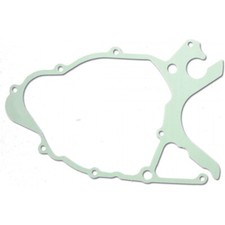 Gasket for generator side