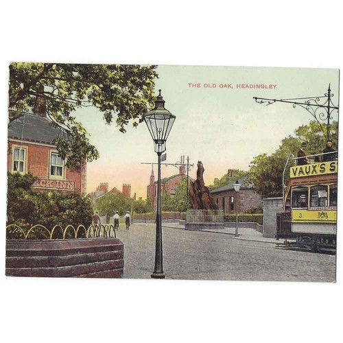 Headingley old oak yorkshire - oak,,