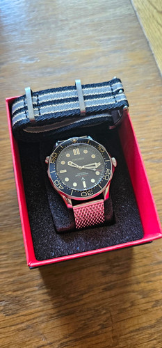 Phylida automatic diver 42mm - phylida,