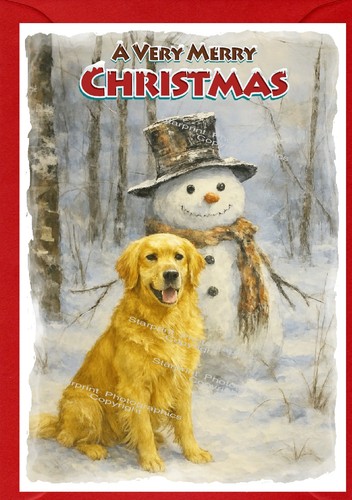 Golden retriever dog - retriever,