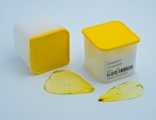 x3 Official Royal Mint Coin Tubes, Storage For 1oz Gold Britannia Coin