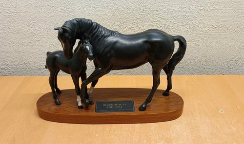 Black beauty foal - beauty,