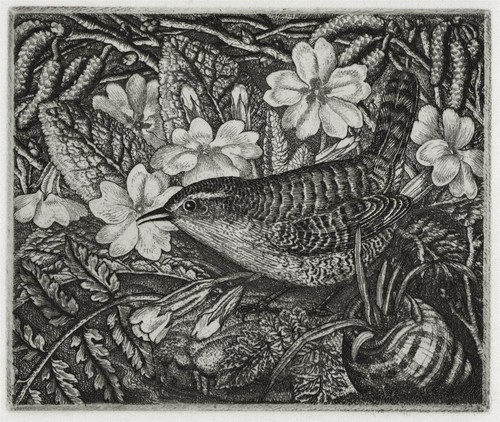 Robin tanner - robin, (1904-1988)