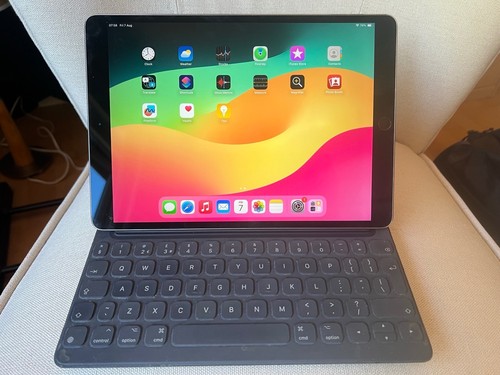 Apple ipad pro 256gb - pro,