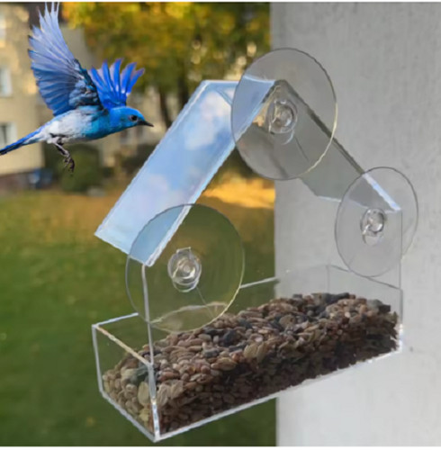 New window type bird feeder - window,