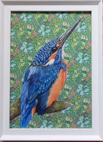 Original wild kingfisher - original,