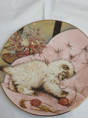 Royal worcester plate little - worcester,
