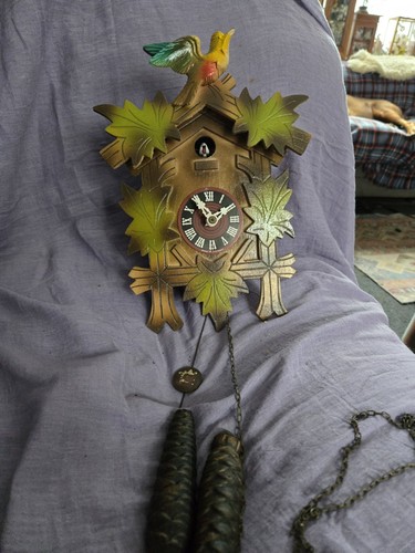 Vintage traditional cuckoo - vintage,