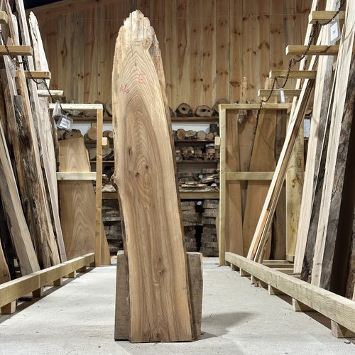 Elm plank board waney - plank,