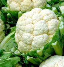 Cauliflower All Year x6 Plug Plants”Grow Your Own" Vegetables LETTERBOX FRIENDLY