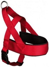 Red Dog Harness Choice of S-m