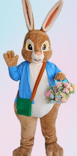 Peter rabbit lookalike mascot - peter,