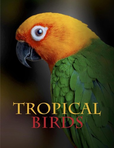 Tropical birds animals - tropical,