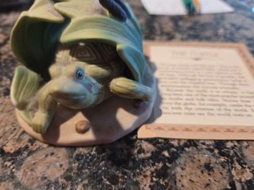 Woodland surprises turtle - woodland,