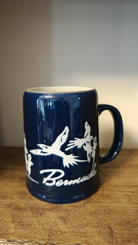 Rare vintage bermuda souvenir - bermuda,