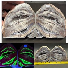 SEE VIDEO: GORGEOUS  DUGWAY