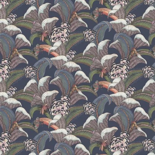 Cole son jabula hoopoe - cole,