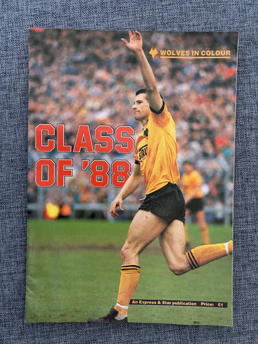 Wolverhampton wanderers wolves - wolverhampton,