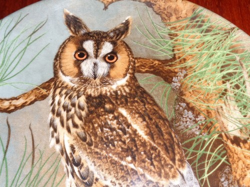 Coalport collectors plate long - coalport,