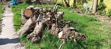 Logs Fire Wood Tree Trunks Log