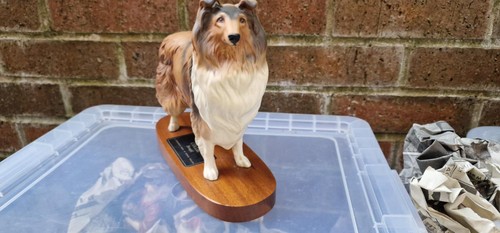 Lovely beswick shetland rough - beswick,