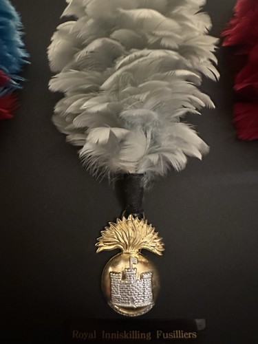 Royal inniskilling fusiliers - inniskilling,