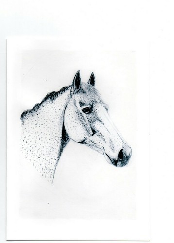 Katharinemidgleyart grey - katharinemidgleyart,,