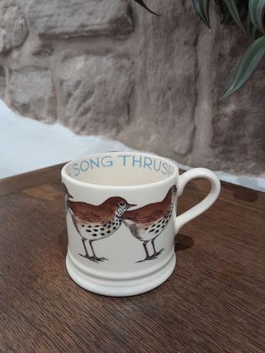 Emma bridgewater beautiful - bridgewater,