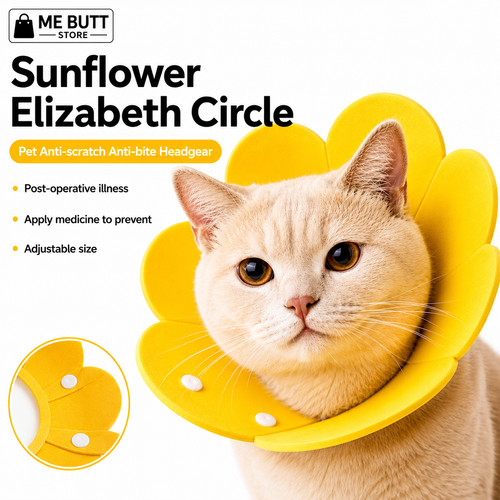 Soft cute sun flower cat - cute,