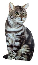 Silver Tabby Cat Magnet -