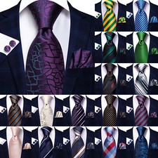 Barry Wang Mens Tie Paisley